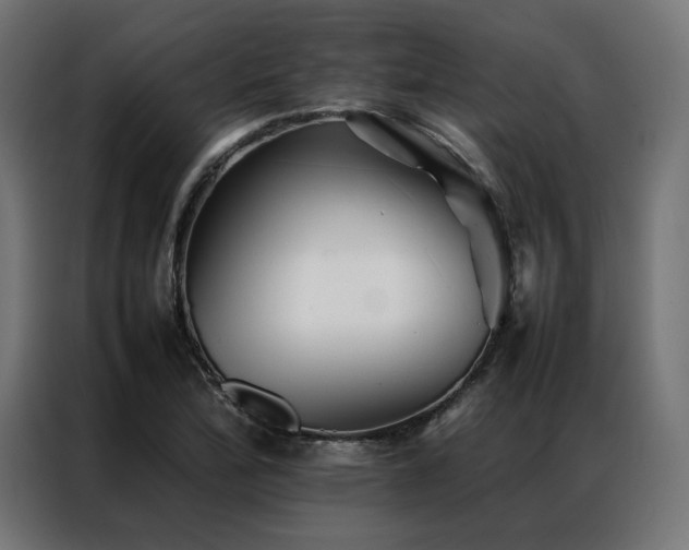 X0000086891172200704161240