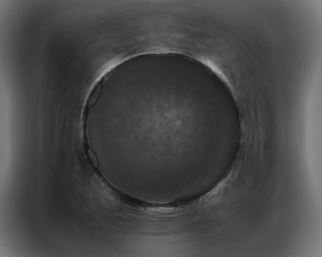 X0000086891173200704161240