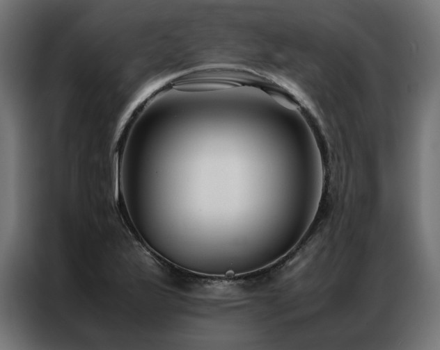 X0000086891175200704161240