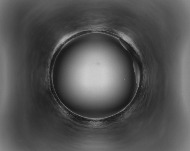 X0000086891176200704161240