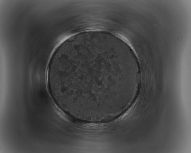 X0000086891179200704161240