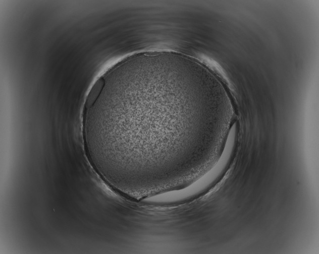 X0000086891184200704161240