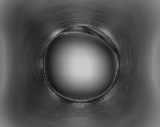 X0000086891185200704161240