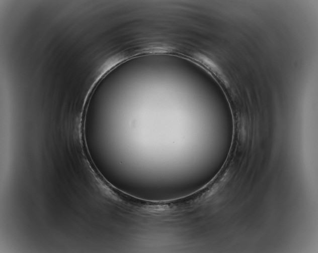 X0000086891186200704161240