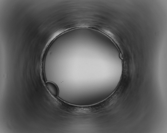 X0000086891187200704161240