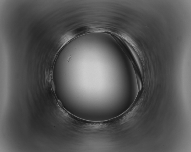 X0000086891193200704161240