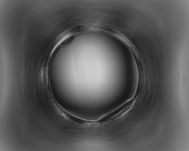 X0000086891198200704161239