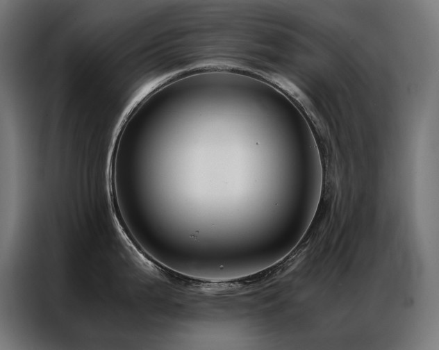 X0000086891199200704161239