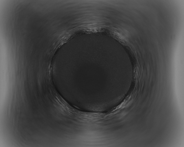 X0000086891202200704161239