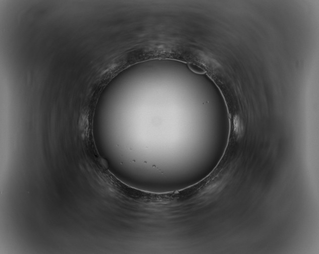 X0000086891203200704161239