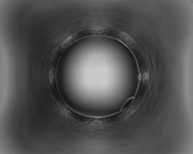 X0000086891204200704161239