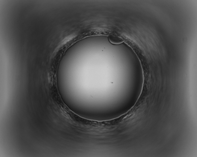 X0000086891207200704161239