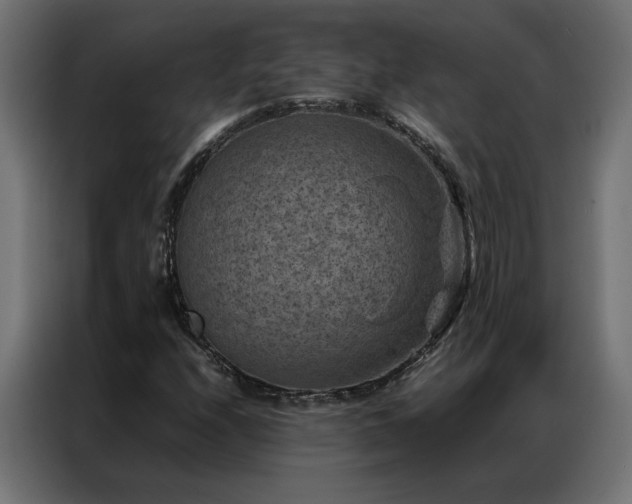 X0000086891208200704161239