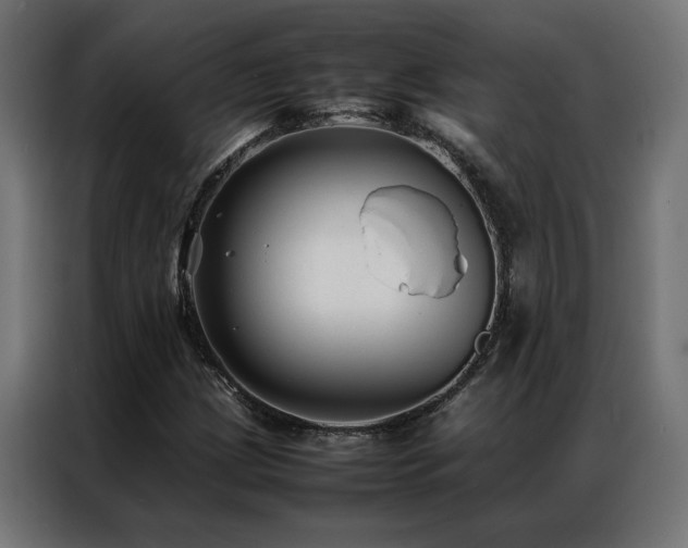 X0000086891209200704161239