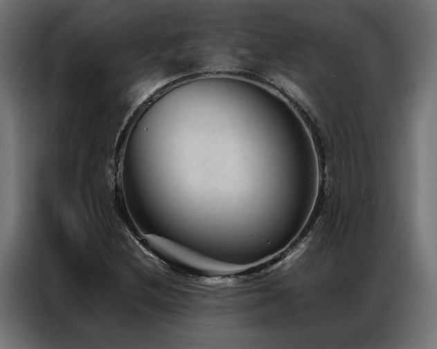 X0000086891212200704161239