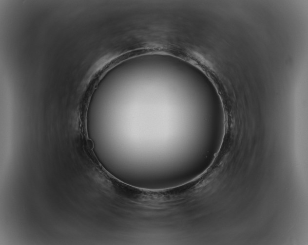 X0000086891215200704161239