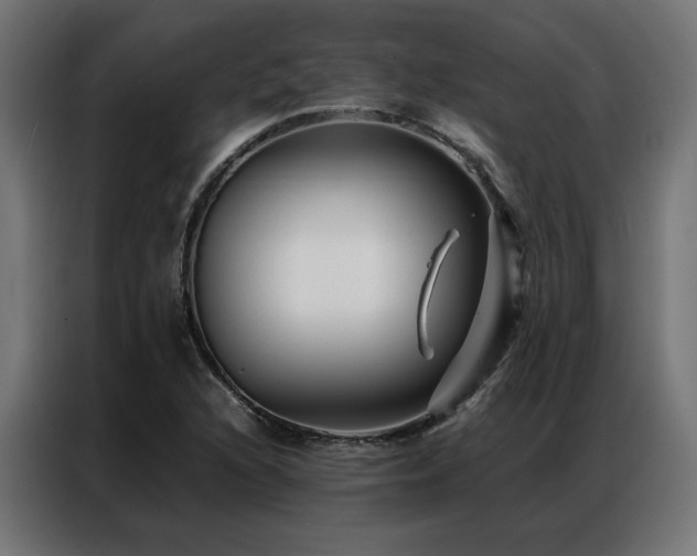 X0000086891216200704161239