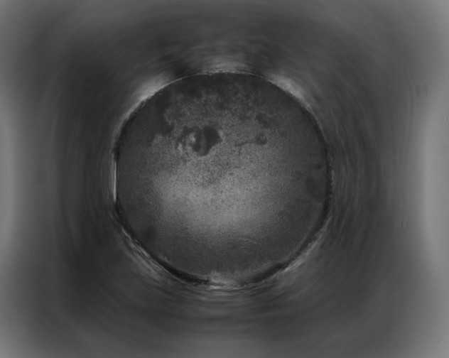 X0000086891219200704161239