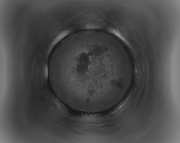 X0000086891221200704161239