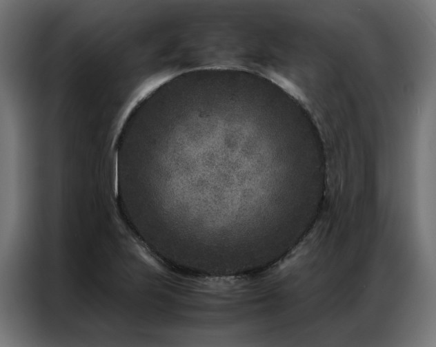 X0000086891223200704161239