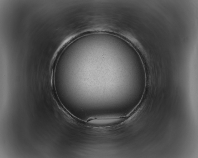 X0000086891224200704161239