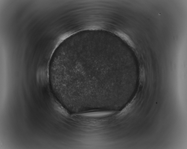 X0000086891226200704161239