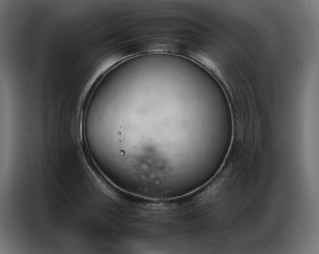 X0000086891227200704161239