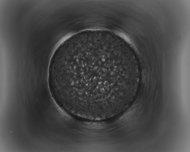 X0000086891229200704161239