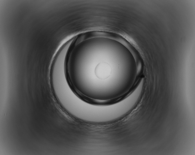 X0000086891230200704161239