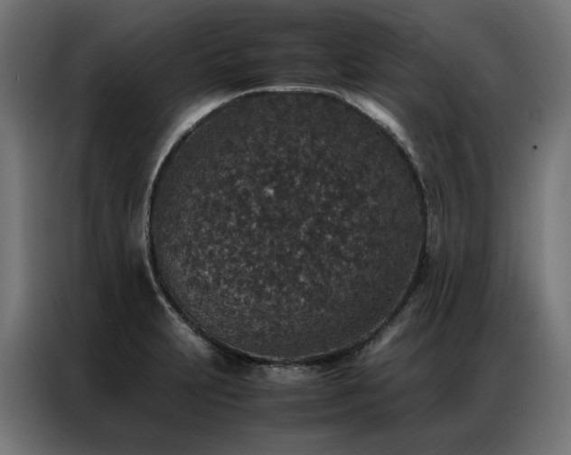 X0000086891231200704161239