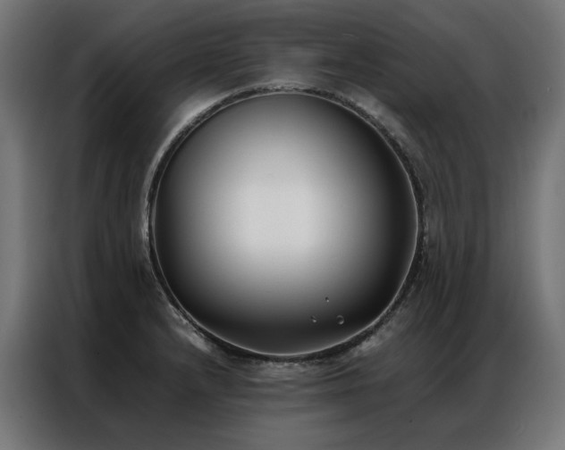 X0000086891232200704161239