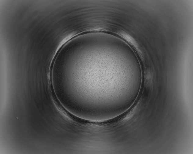 X0000086891234200704161239