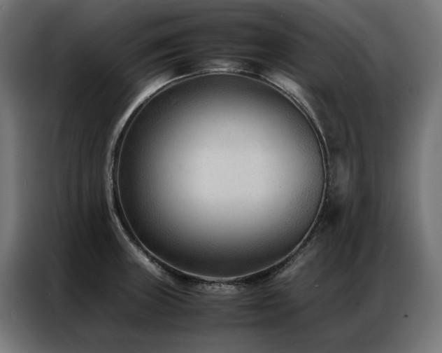 X0000086891235200704161239