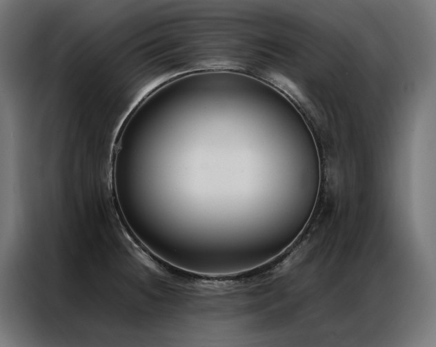 X0000086891236200704161239