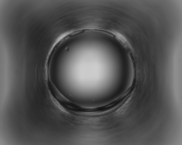 X0000086891238200704161239