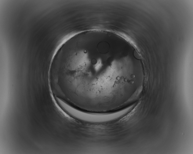 X0000086891239200704161239