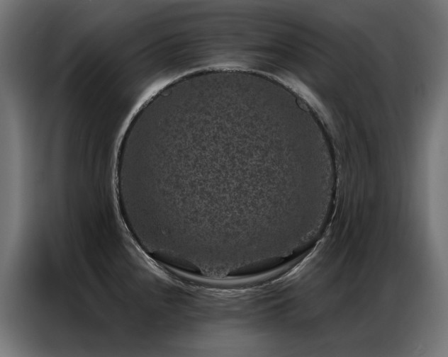 X0000086891240200704161239