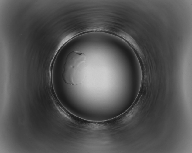 X0000086891242200704161239