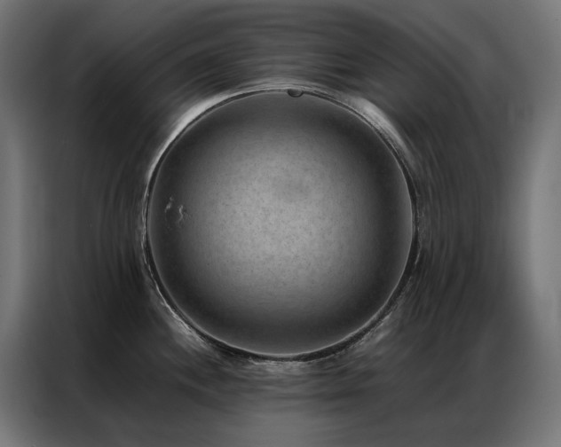 X0000086891244200704161239