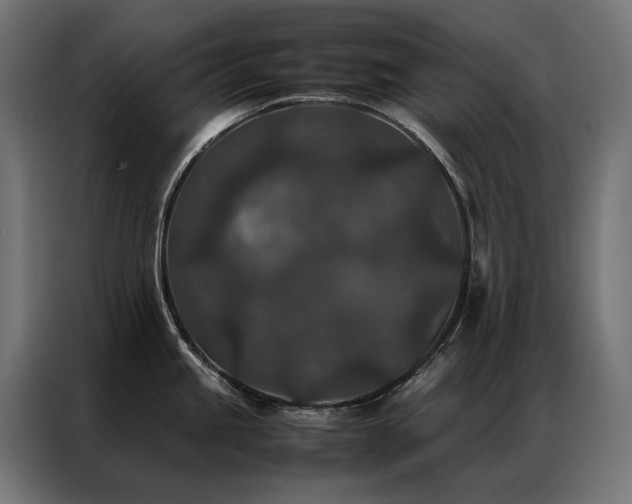 X0000086891245200704161239