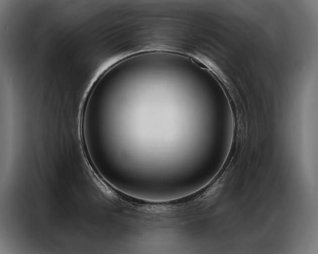 X0000086891246200704161239