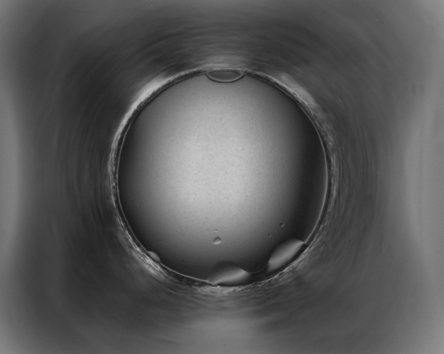 X0000086891248200704161239