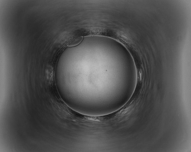 X0000086891251200704161239