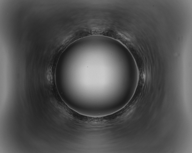 X0000086891252200704161239