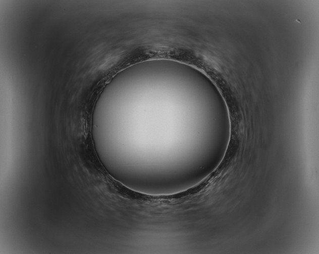 X0000086891253200704161239