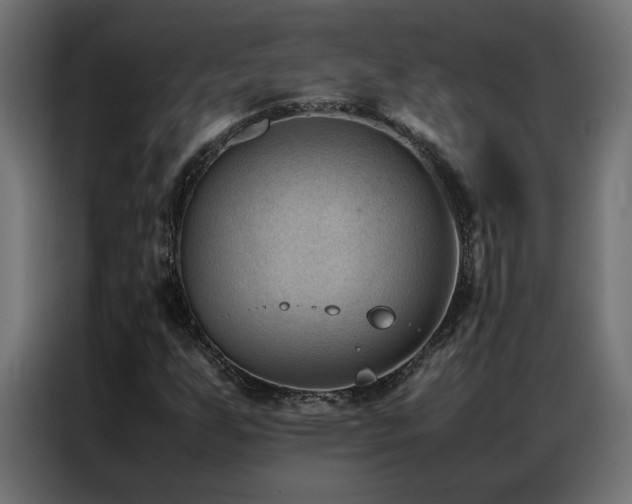 X0000086891255200704161238