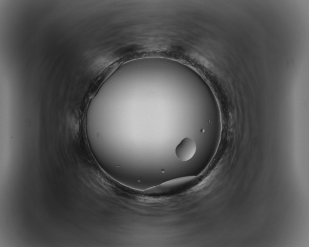 X0000086891257200704161238