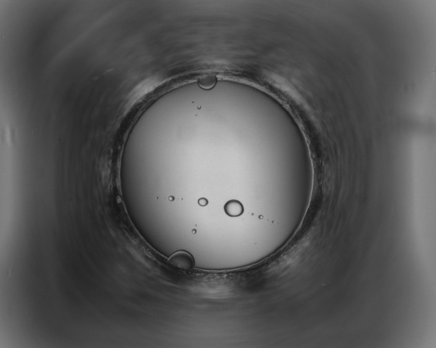 X0000086891259200704161238