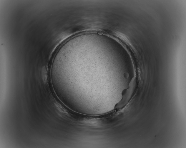 X0000086891260200704161238