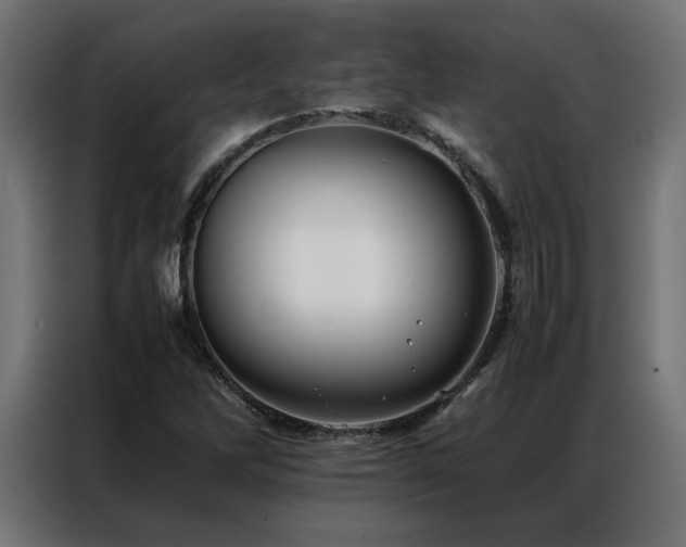 X0000086891262200704161238